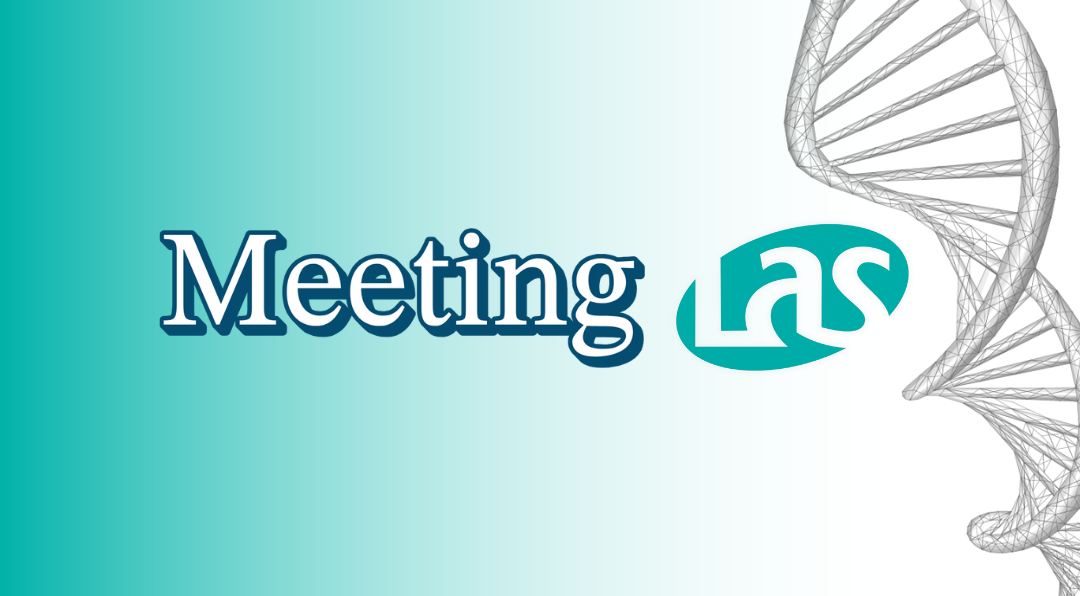 capa noticia meeting